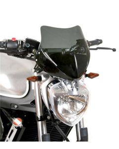 Aerosport Windshield Fz6 S2 YF6300-S2